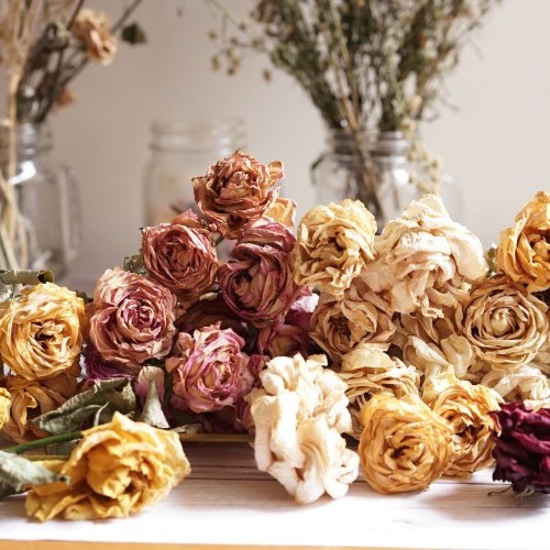 Plant, Flowers and Dried Flowers